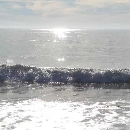 D'hotes Et De La Presqu'ile La Faute-sur-Mer