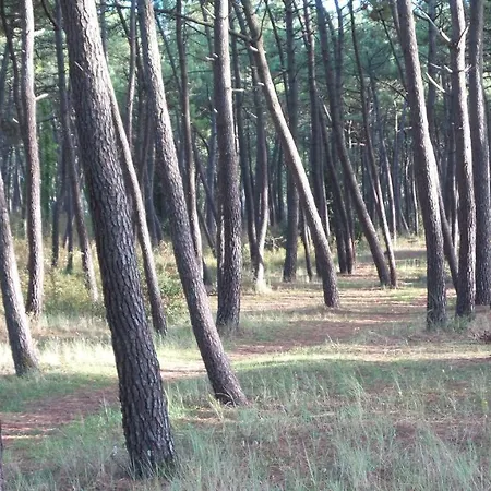D'hotes Et De La Presqu'ile 3* La Faute-sur-Mer