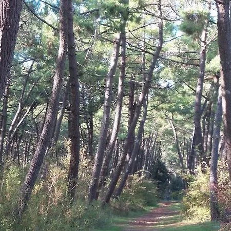 D'hotes Et De La Presqu'ile Panzió 3*
