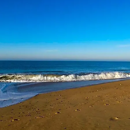 D'hotes Et De La Presqu'ile Bed & Breakfast La Faute-sur-Mer