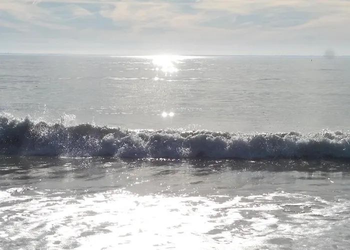 D'hôtes Et De La Presqu'île La Faute-sur-Mer