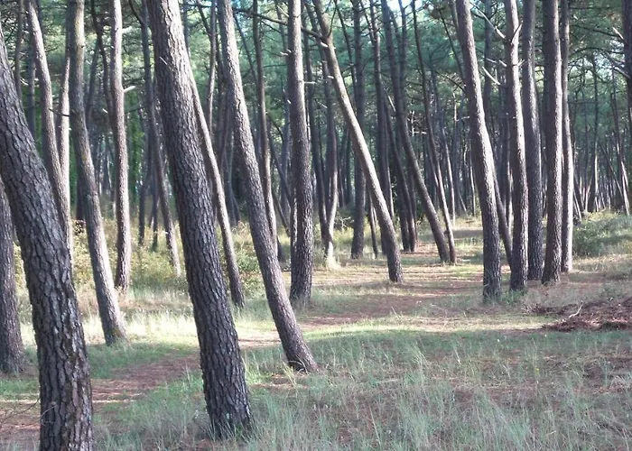 D'hôtes Et De La Presqu'île 3* La Faute-sur-Mer