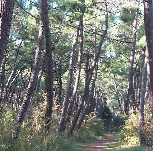 D'hôtes Et De La Presqu'île Alojamento de Acomodação e Pequeno-almoço 3*