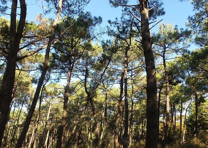 Alojamento de Acomodação e Pequeno-almoço D'hôtes Et De La Presqu'île